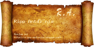 Ripp Antónia névjegykártya